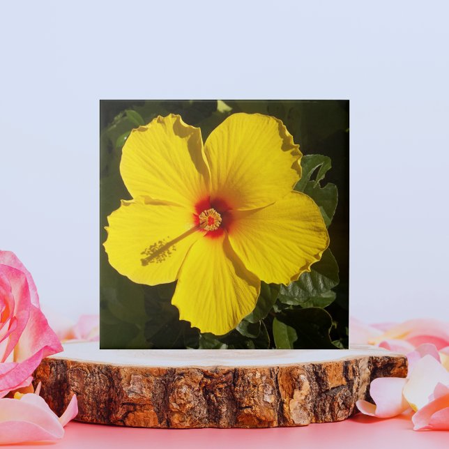 Azulejo De Cerâmica Flor de Hibiscus Amarelo (Yellow Hibiscus Flower Ceramic Tile)