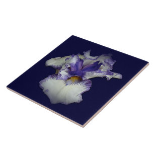 Azulejo De Cerâmica Flor de Íris Barbada Azul e Branca