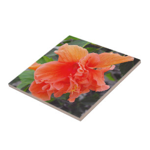 Azulejo De Cerâmica Flor de Laranja Folhada