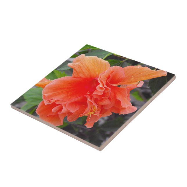 Azulejo De Cerâmica Flor de Laranja Folhada (Lateral)
