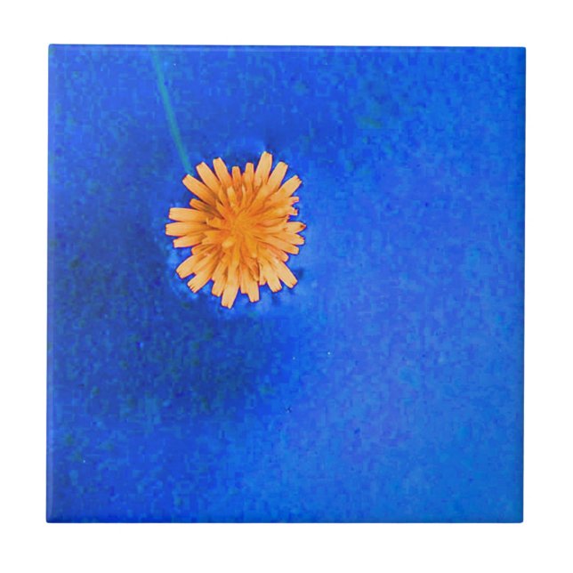 Azulejo De Cerâmica Flor de Laranja Solitária (Frente)