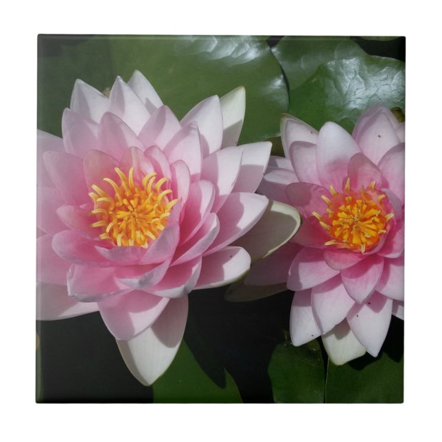 Azulejo De Cerâmica Flor de Lotus (Frente)