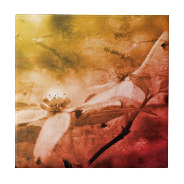 Azulejo De Cerâmica Flor De Madeira Preta E Branca (Frente)