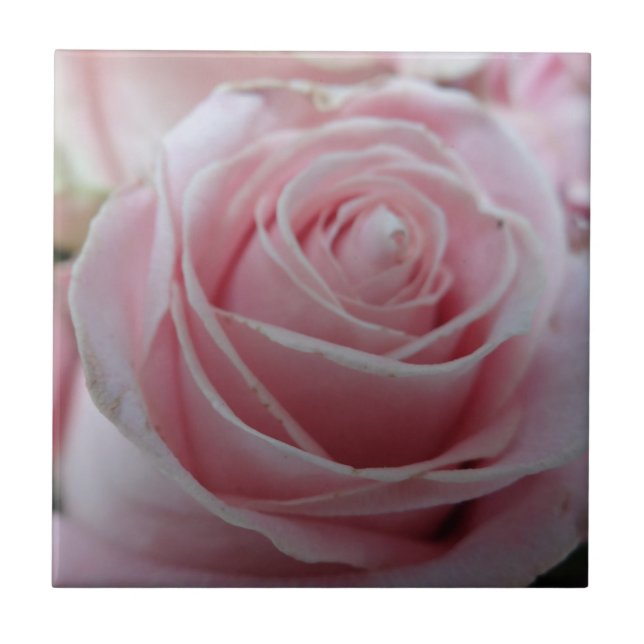 Azulejo De Cerâmica Flor de Rosa (Frente)