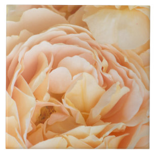 Azulejo De Cerâmica Flor de rosa amarela