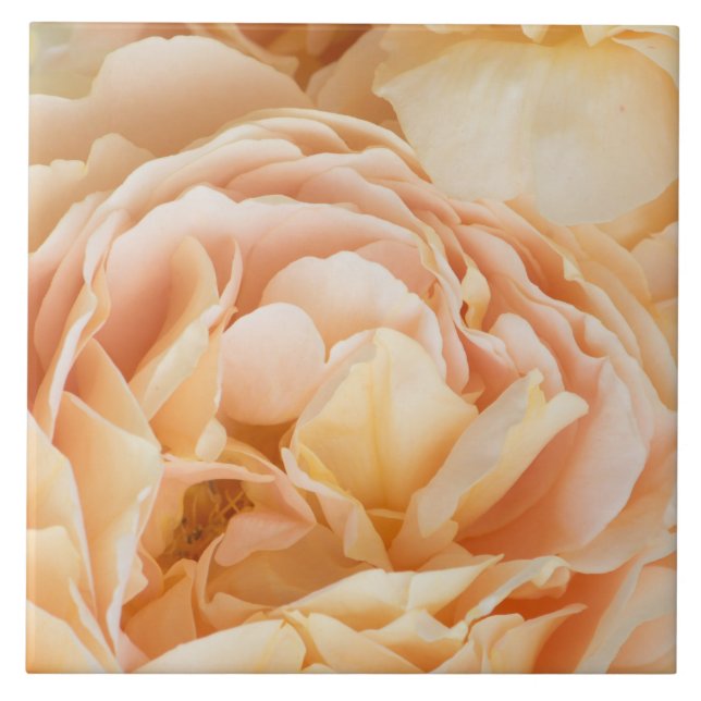 Azulejo De Cerâmica Flor de rosa amarela (Frente)