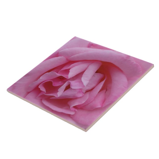 Azulejo De Cerâmica Flor de rosa cor-de-rosa (Lateral)