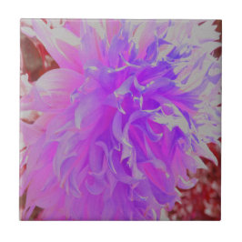 Azulejo De Cerâmica Flor Decorativa Ultra-Violeta Elegante Dahlia