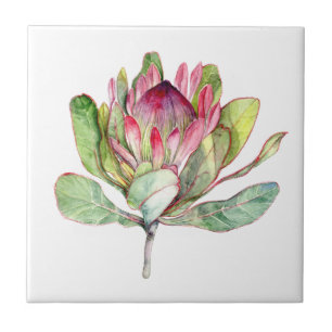 Azulejo De Cerâmica Flor do Protea