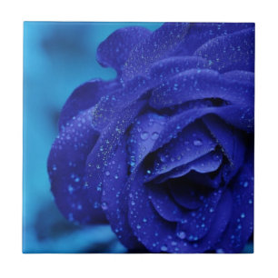 Azulejo De Cerâmica Flor do rosa do azul