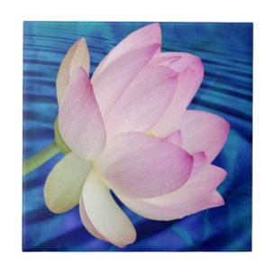 Azulejo De Cerâmica Flor e significado de Lotus delicada