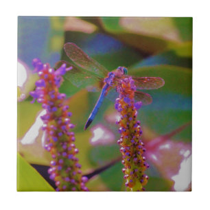 Azulejo De Cerâmica Flor fuchsia e mosca dragão