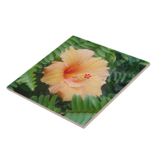 Azulejo De Cerâmica Flor Laranja Hibiscus com Ferns (Lateral)