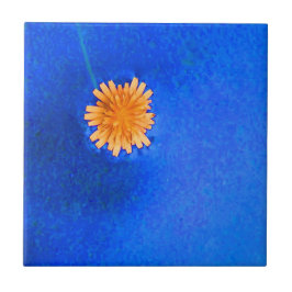 Azulejo De Cerâmica Flor Laranja Única