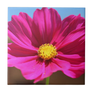 Azulejo De Cerâmica Flor Magenta