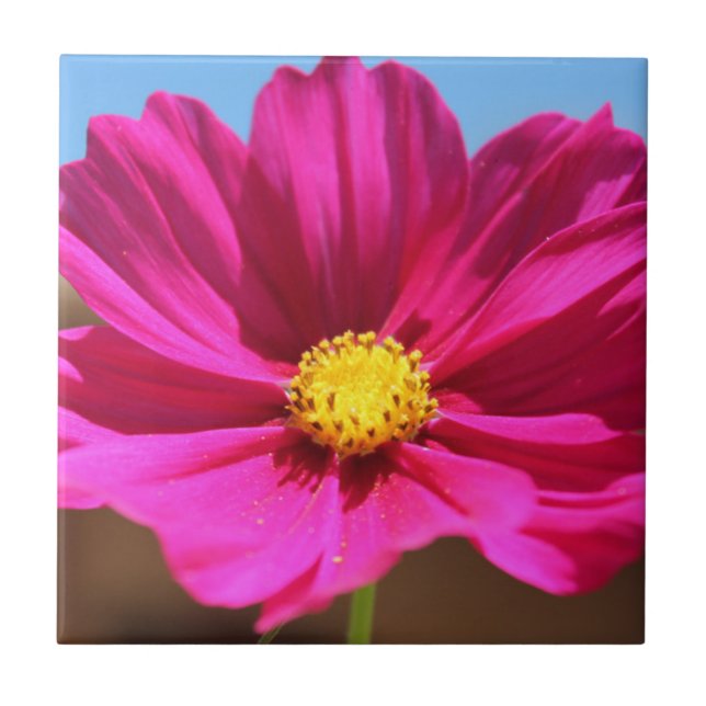 Azulejo De Cerâmica Flor Magenta (Frente)