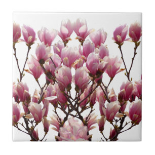 Azulejo De Cerâmica Flor-Primavera de-Magnolias Rosa