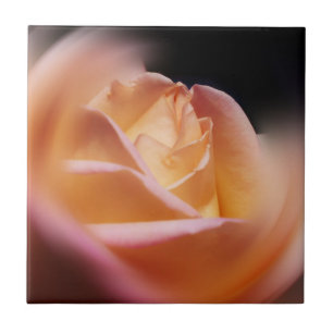 Azulejo De Cerâmica Flor Rosa Amarelo-Atormentante