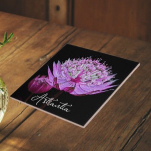 Azulejo De Cerâmica Flor-rosa-astrantia no fundo preto