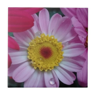 Azulejo De Cerâmica Flor rosa e amarela