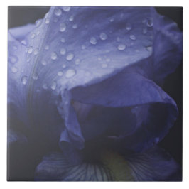 Azulejo De Cerâmica Flor Rosa púrpura