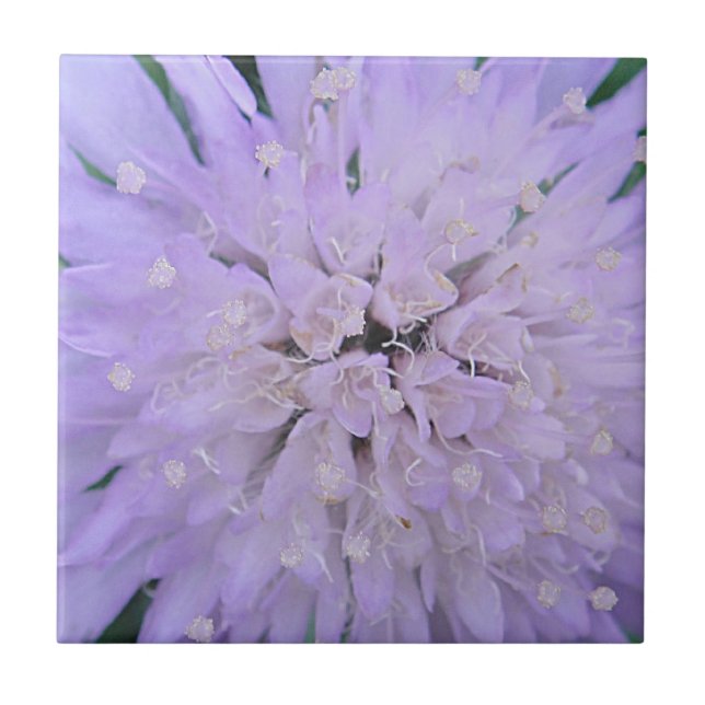 Azulejo De Cerâmica Flor roxa (Frente)