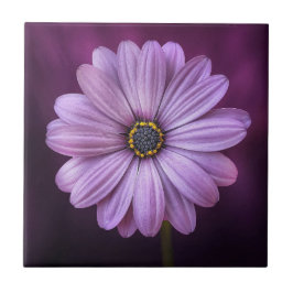 Azulejo De Cerâmica Flor Roxo no Bloom