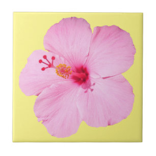 Azulejo De Cerâmica Flor Tropical de Hibiscus Rosa