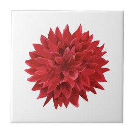 Azulejo De Cerâmica Flor Vermelho de Aquarela