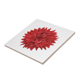 Azulejo De Cerâmica Flor Vermelho de Aquarela