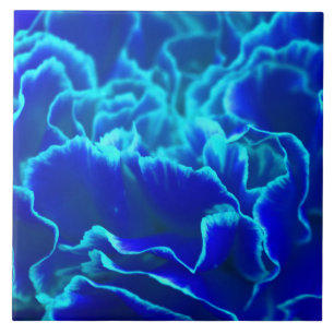 Azulejo De Cerâmica Flor vibrante do cravo do azul e da cerceta