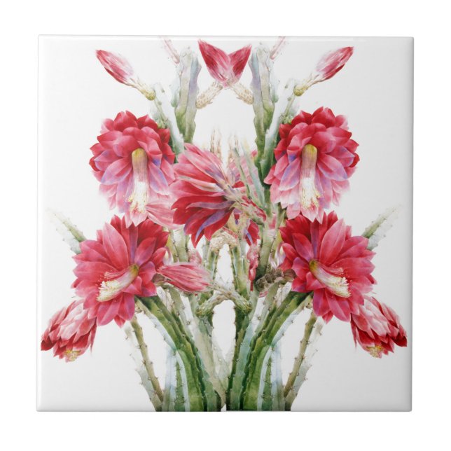 Azulejo De Cerâmica Flor Vitoriano Cactus Rosa (Frente)