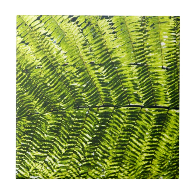 Azulejo De Cerâmica Flora Dominica 5 (Frente)