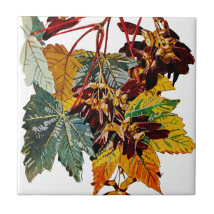 Azulejo De Cerâmica Flora Exótica nº 3 em Sunshine Dazzle