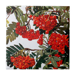 Azulejo De Cerâmica Flora Exótica nº 5 em Sunshine Dazzle