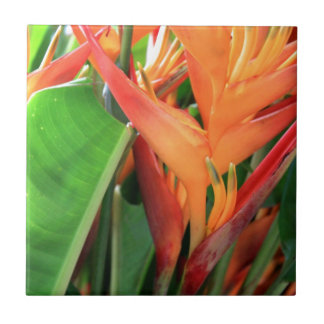 Azulejo De Cerâmica Florais de Heliconia Tropical Brilhantes