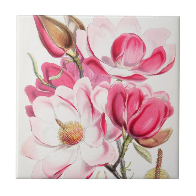 Azulejo De Cerâmica Floral (Frente)