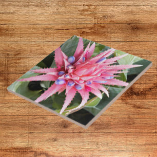 Azulejo De Cerâmica Floral da Planta de Vaso Silver Flor