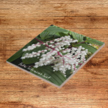 Azulejo de cerâmica floral das flores de focas de