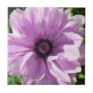 Azulejo de cerâmica floral de Primavera de Shabby