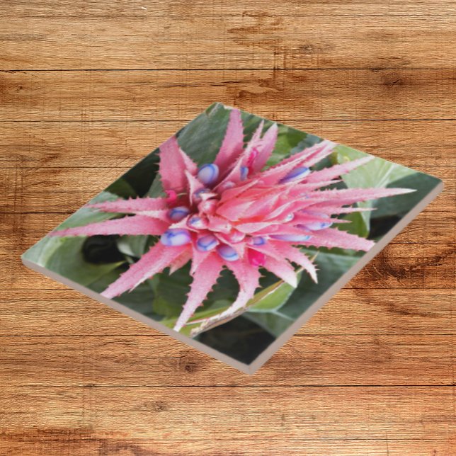 Azulejo De Cerâmica Floral de Sangue de Planta de Vaso Silver (In Situ)