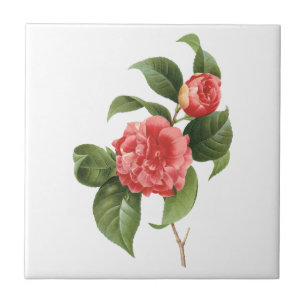 Azulejo De Cerâmica Floral de Vintage, Flores de Camela Rosa, por Redo
