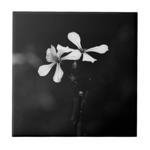 Azulejo De Cerâmica floral preto e branco minimalista