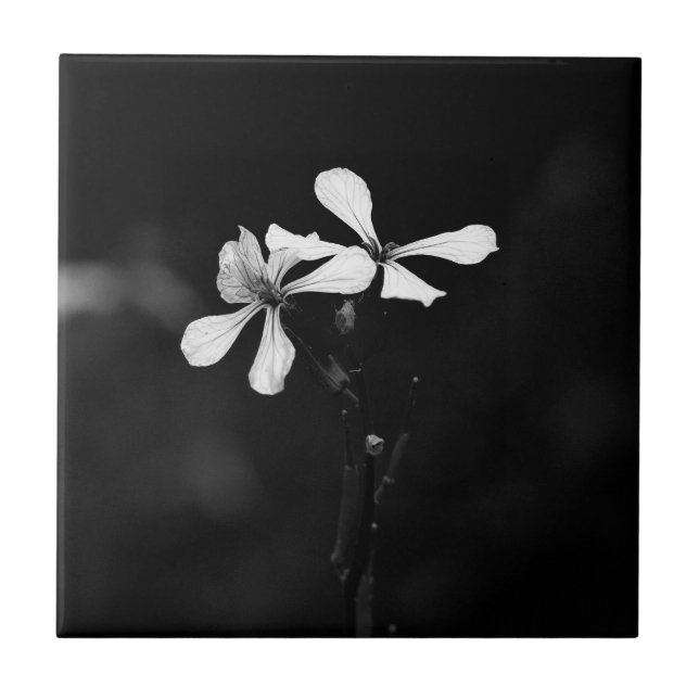 Azulejo De Cerâmica floral preto e branco mínimo (Frente)