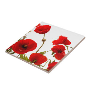 Azulejo De Cerâmica Floral Red Poppy Fllowers White Background Colorid