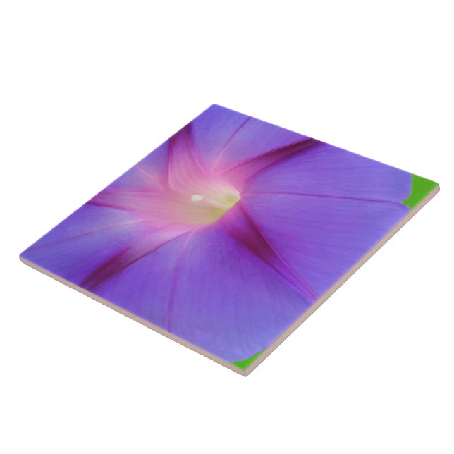 Azulejo De Cerâmica Floral Roxo  (Lateral)