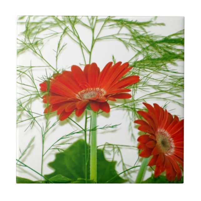 Azulejo De Cerâmica Floral Vermelho (Frente)