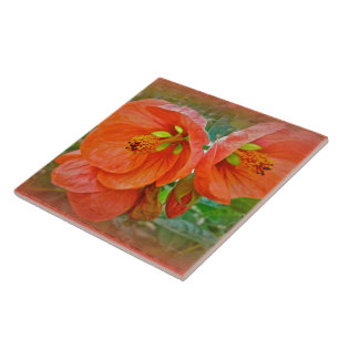 Azulejo De Cerâmica Flores alaranjadas do hibiscus