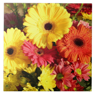 Azulejo De Cerâmica Flores Amarelas de Gerbera Chrysanthemum