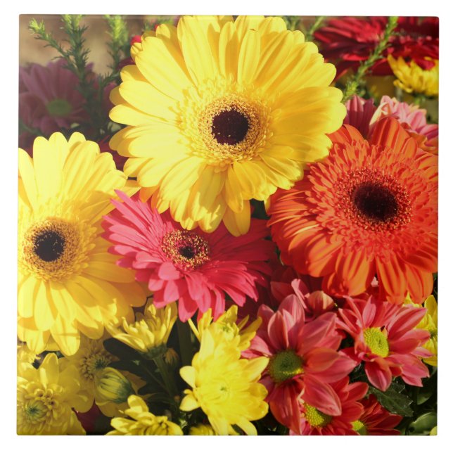 Azulejo De Cerâmica Flores Amarelas de Gerbera Chrysanthemum (Frente)